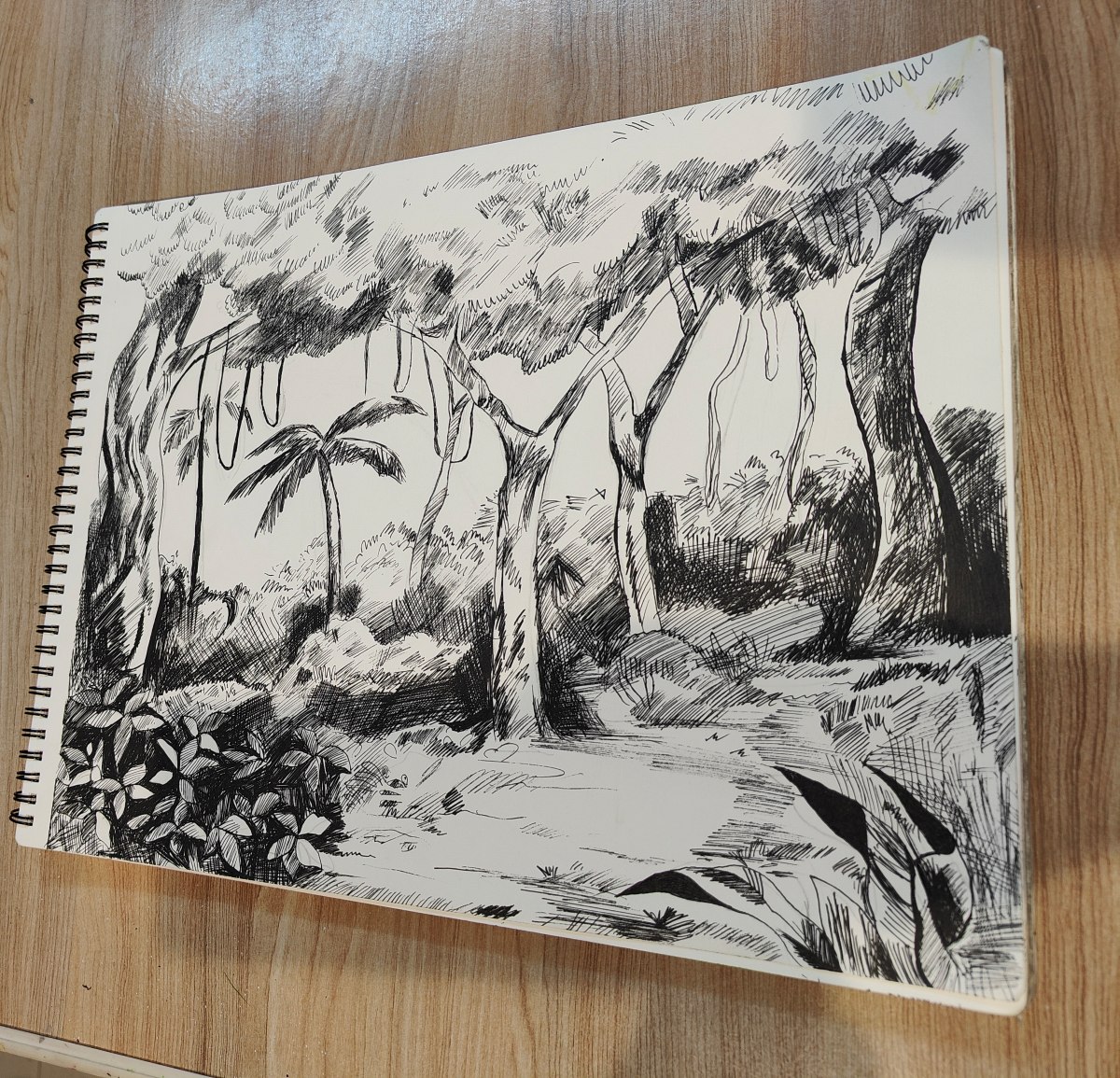 Pen & Ink 1